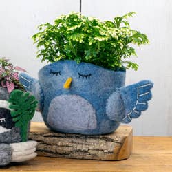 Bluebird Felt Plant Pot dZi Handmade