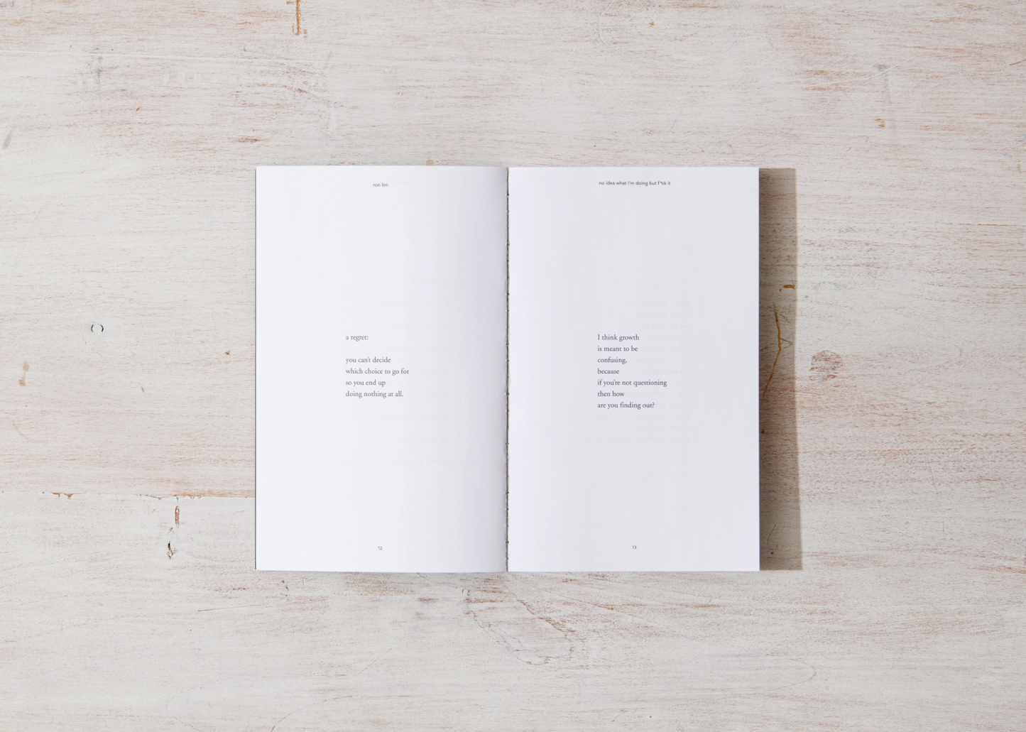 No Idea What I'm Doing But F*ck It - book Thought Catalog