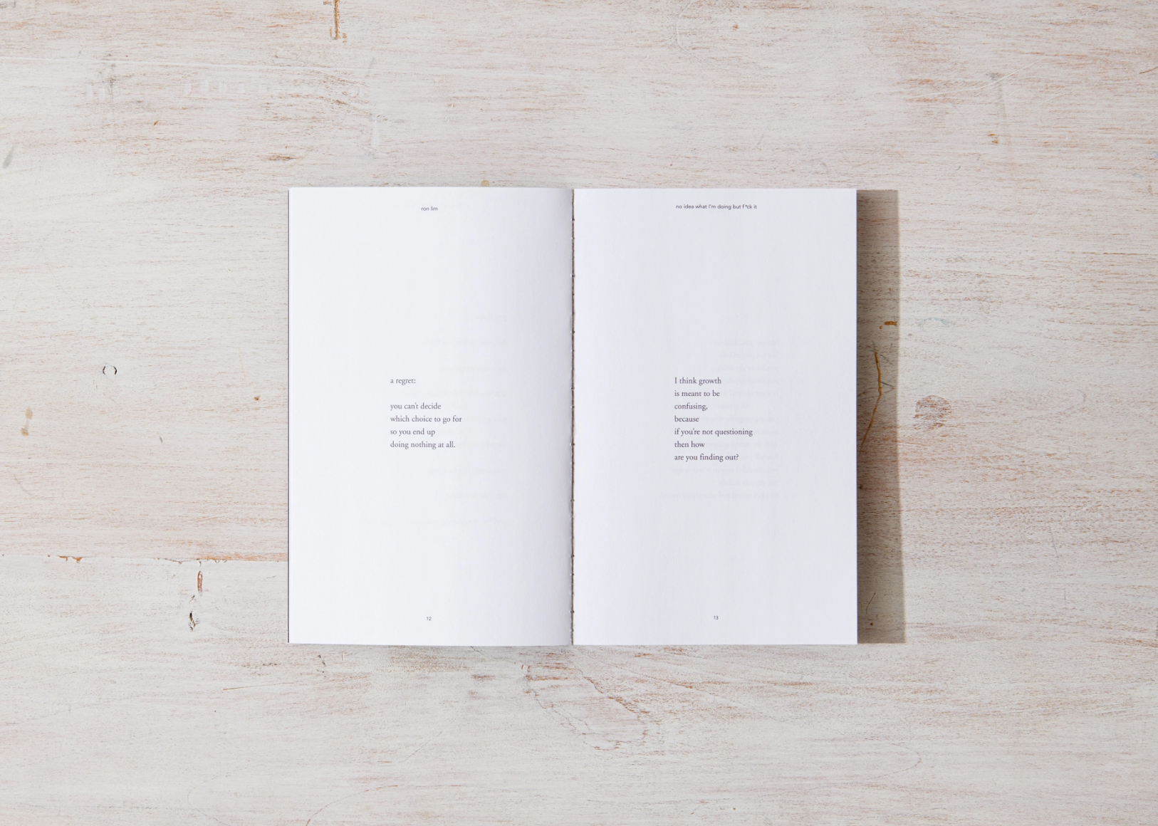 No Idea What I'm Doing But F*ck It - book Thought Catalog
