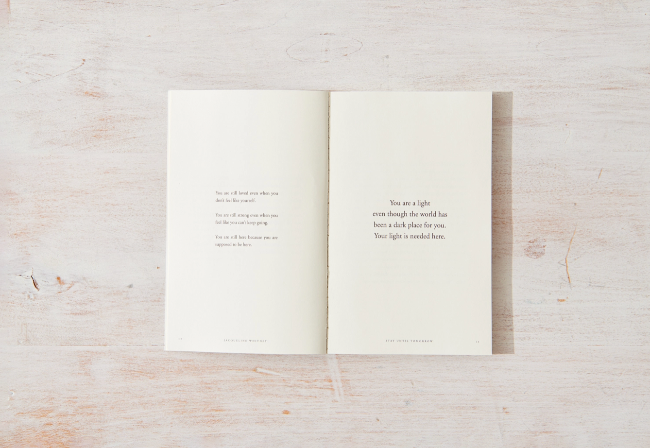 Stay Until Tomorrow - book Thought Catalog