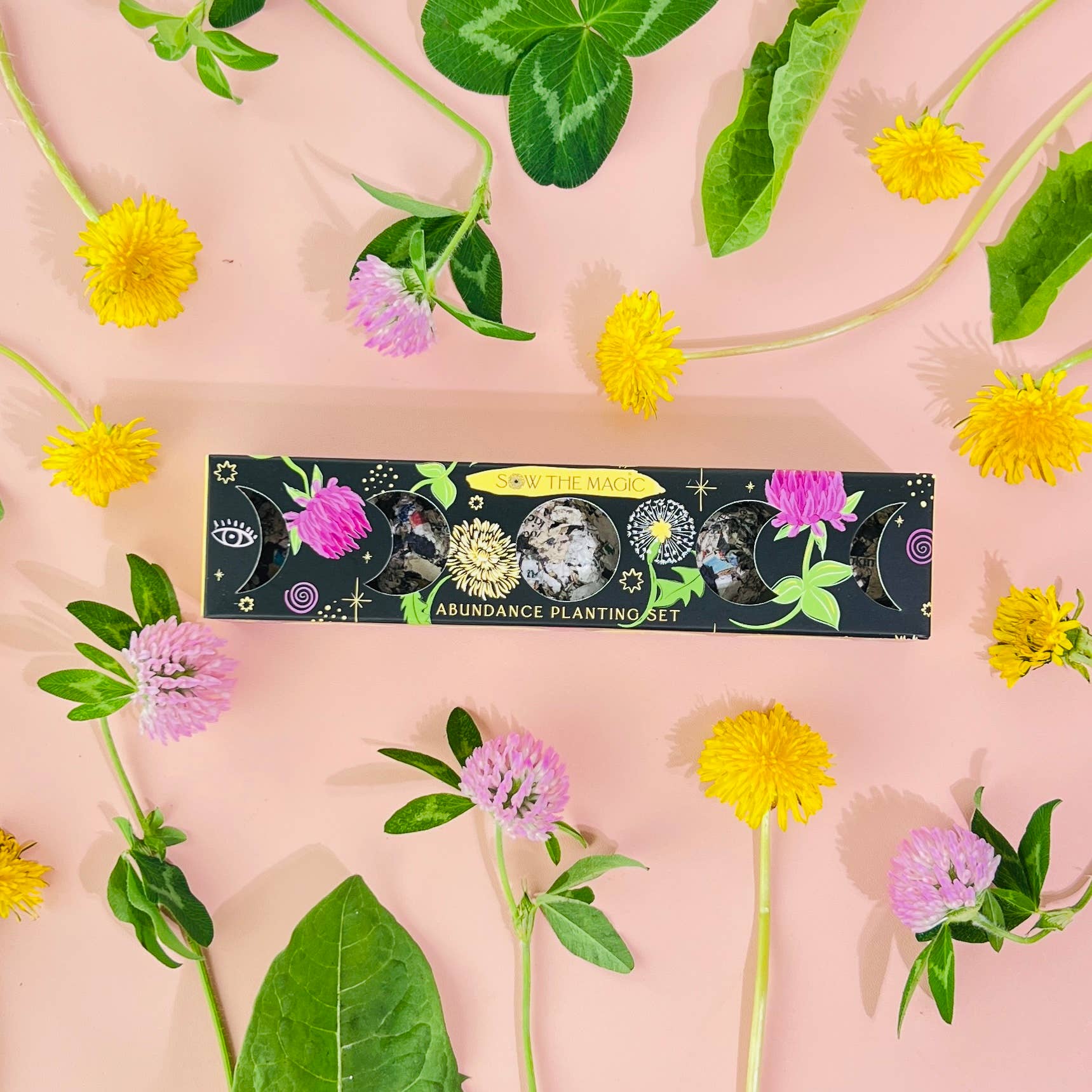 Abundance Moon Phase Planting Set-Plantable Seed Balls-Gift For Plant Lover Sow the Magic