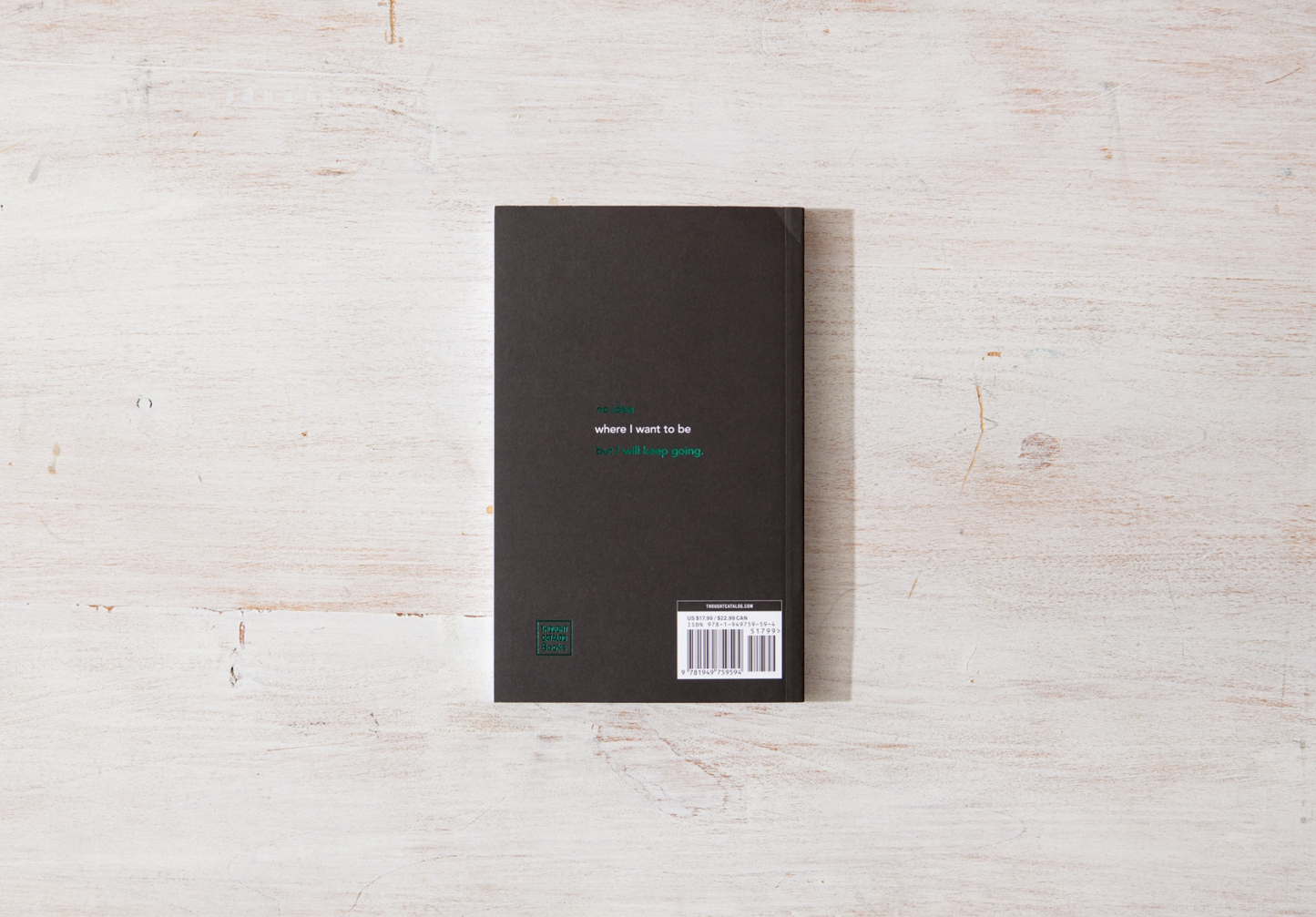 No Idea What I'm Doing But F*ck It - book Thought Catalog