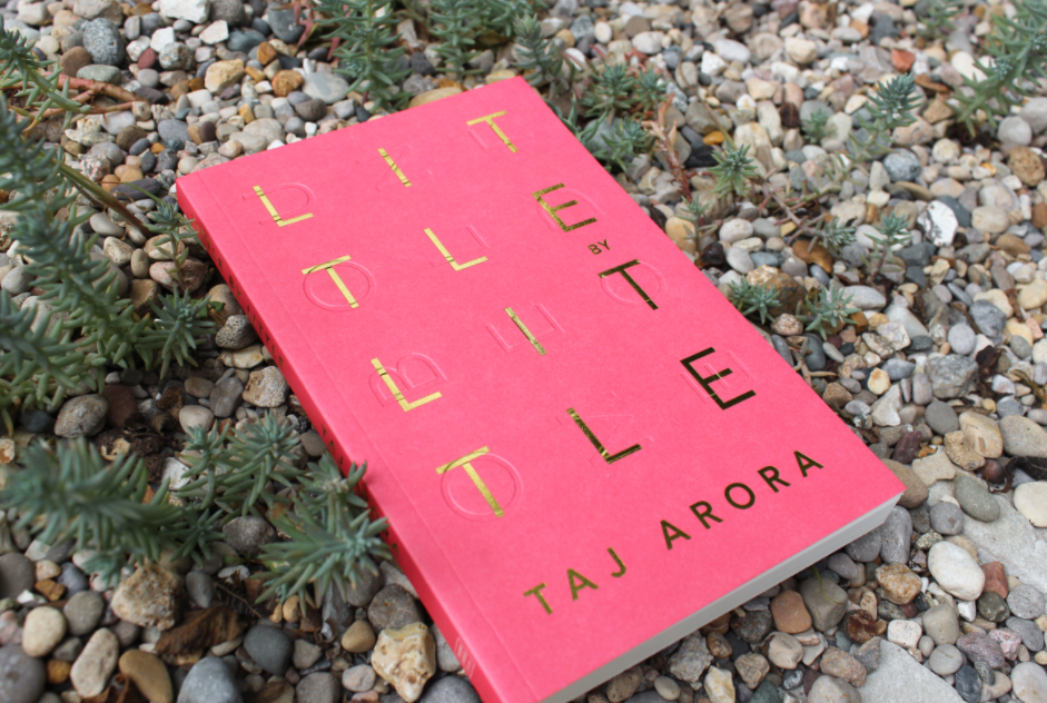 Little By Little - book Thought Catalog