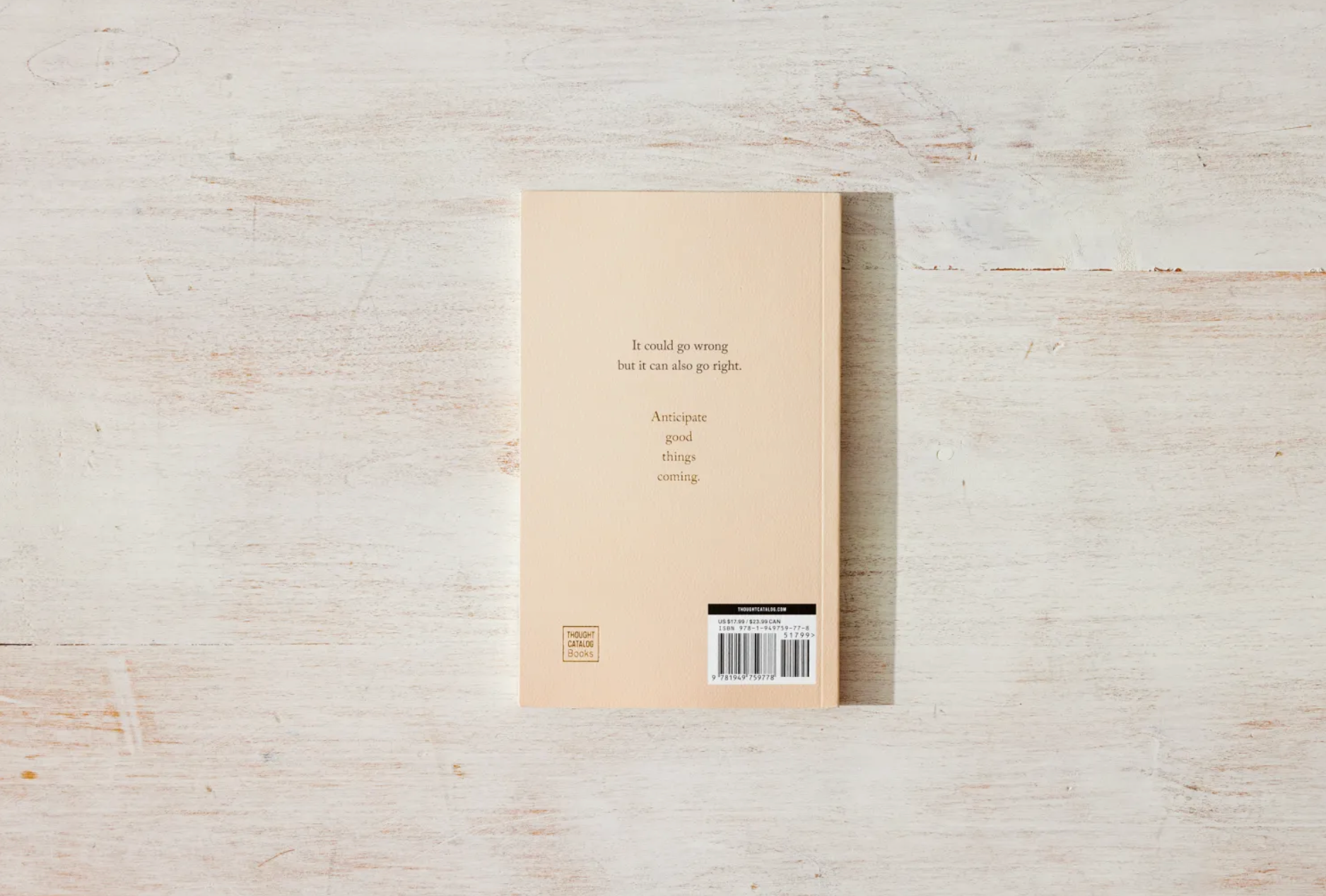 Anticipate Good Things Coming - book Thought Catalog