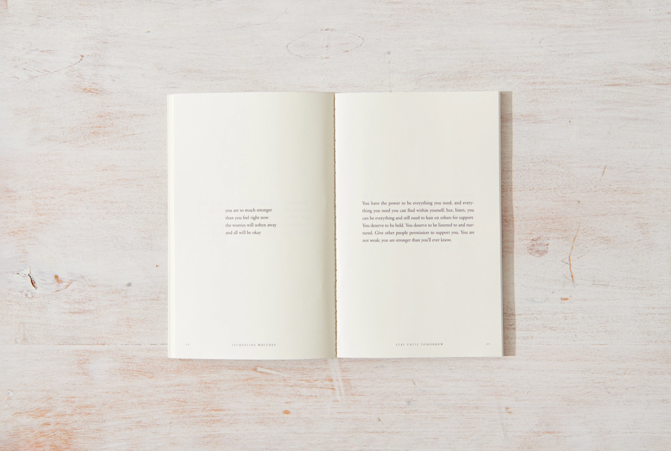 Stay Until Tomorrow - book Thought Catalog