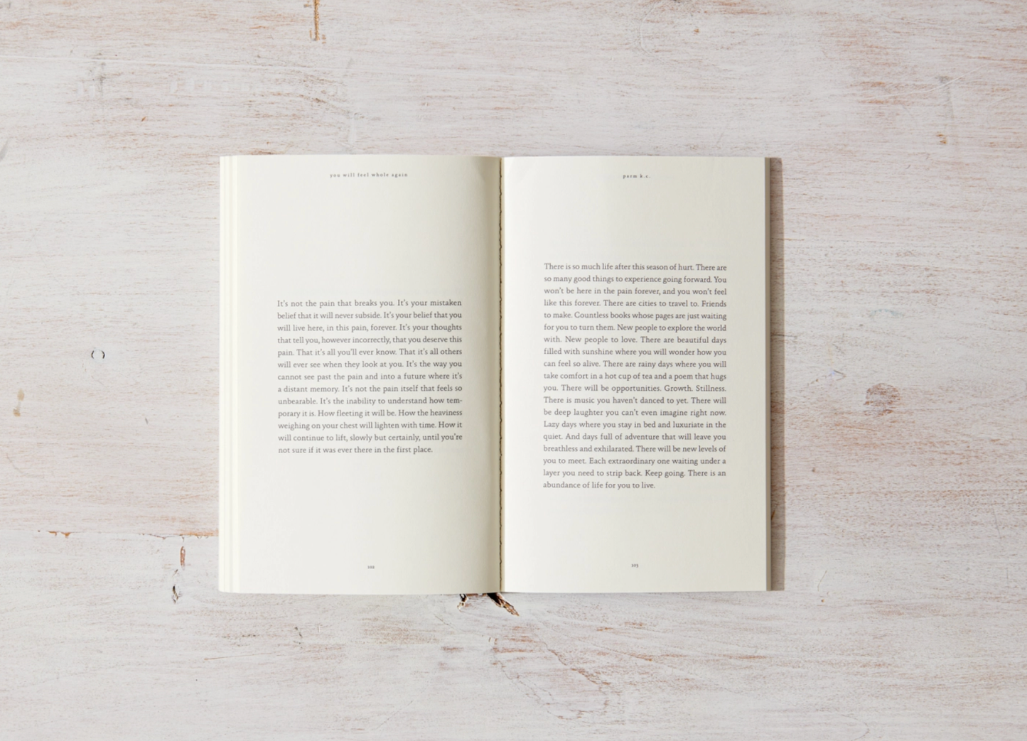 You Will Feel Whole Again - book Thought Catalog