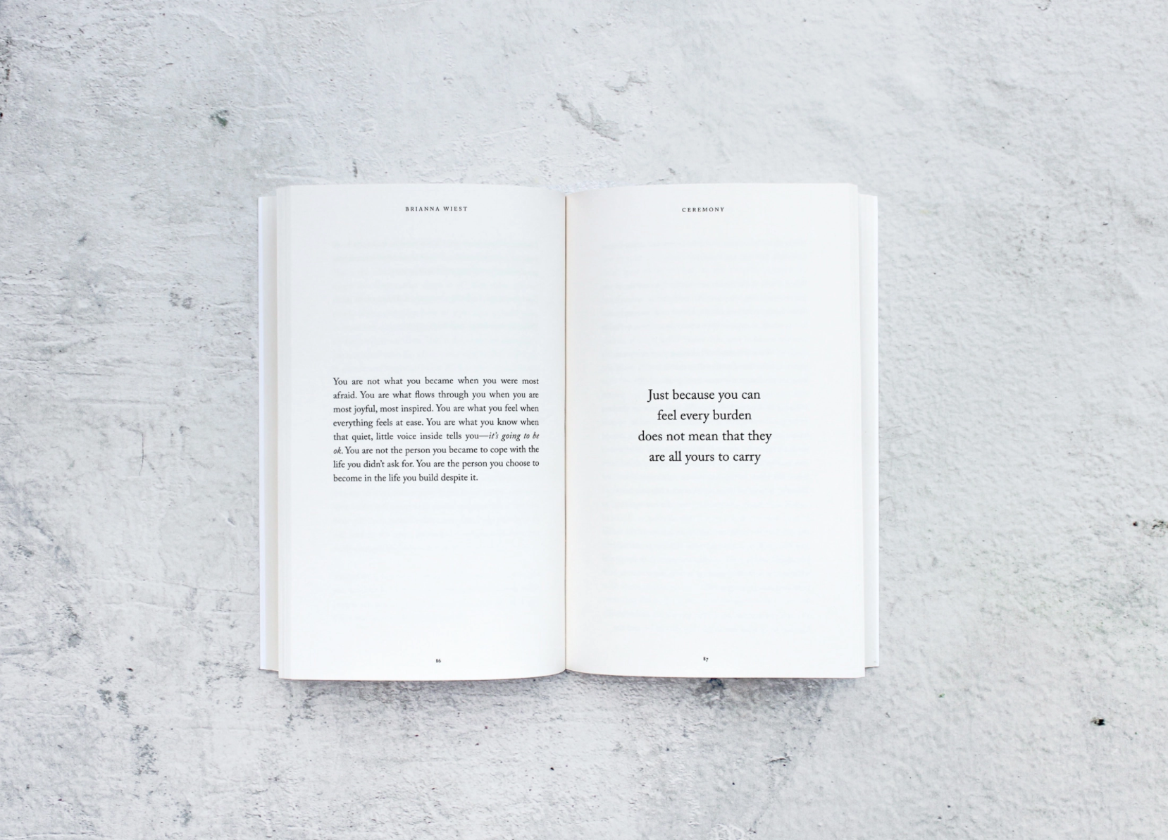 Ceremony - book Thought Catalog