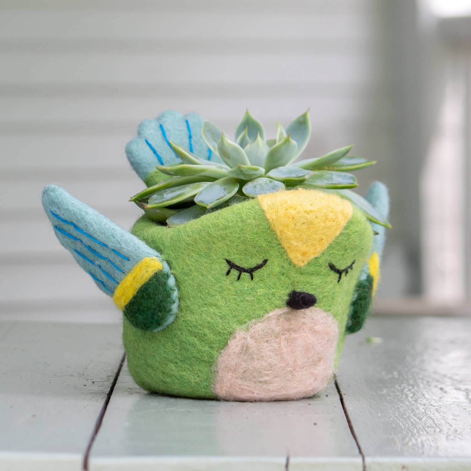 Green Hummingbird Felt Plant Pot dZi Handmade