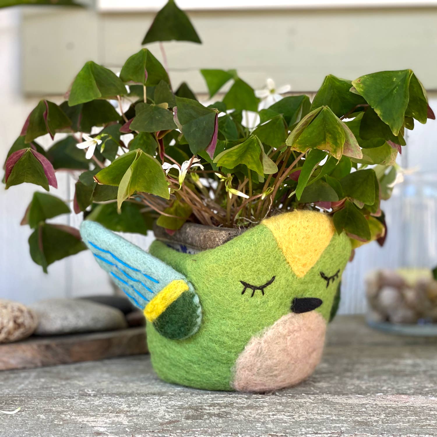 Green Hummingbird Felt Plant Pot dZi Handmade