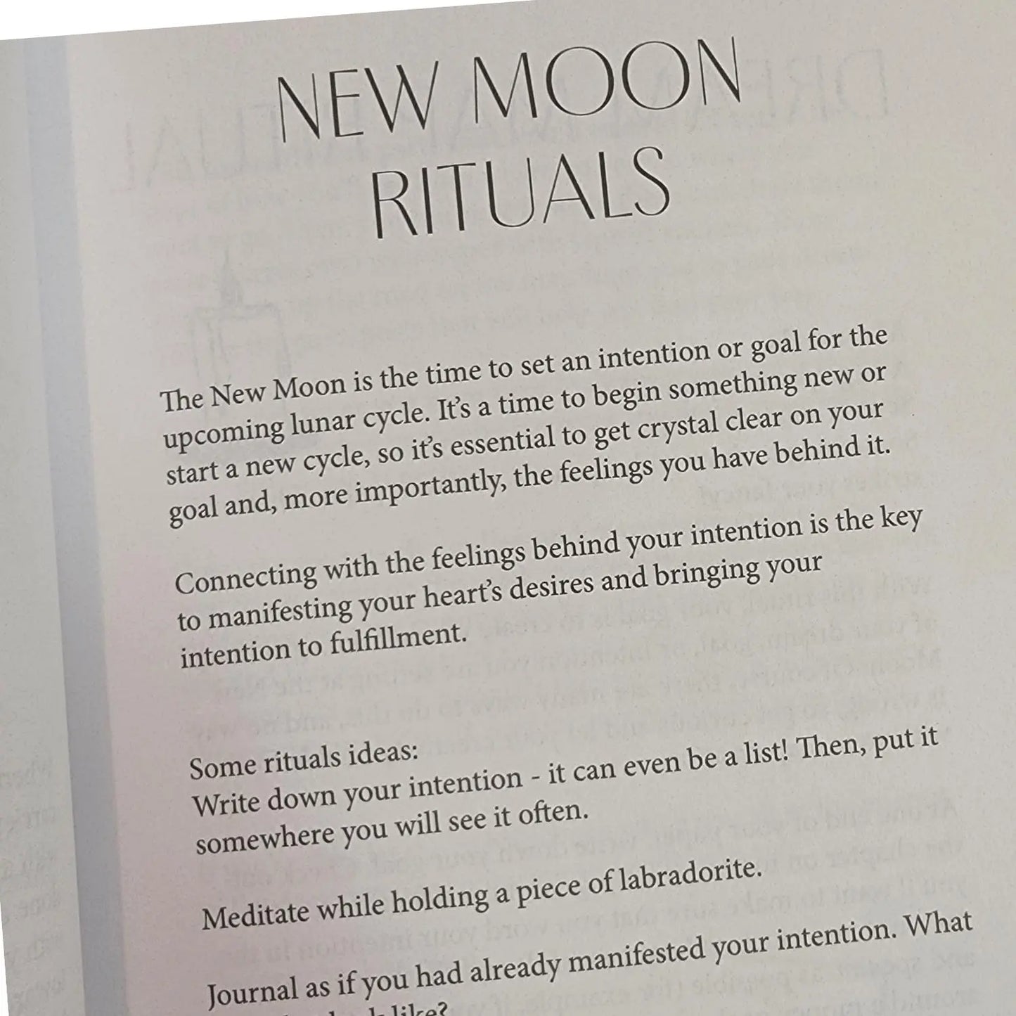 New Moon Intention Setting Journal Bella deLuna Journal