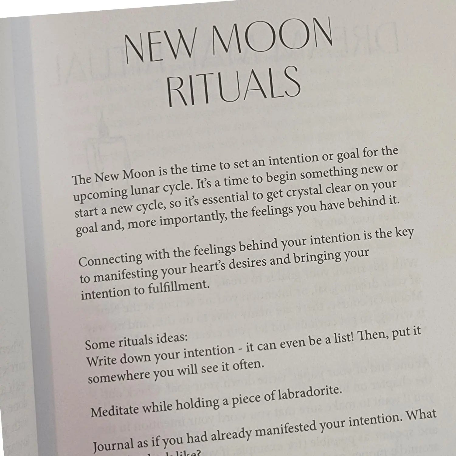 New Moon Intention Setting Journal Bella deLuna Journal