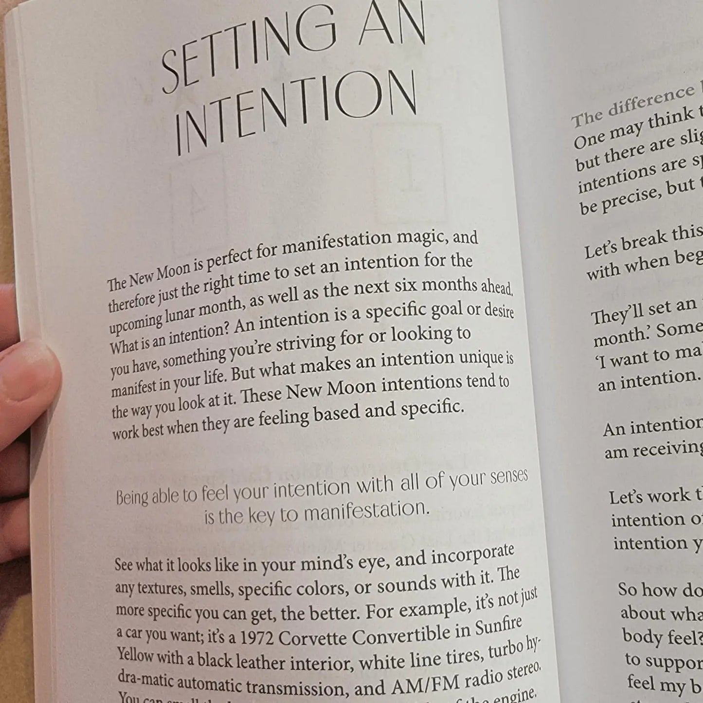 New Moon Intention Setting Journal Bella deLuna Journal
