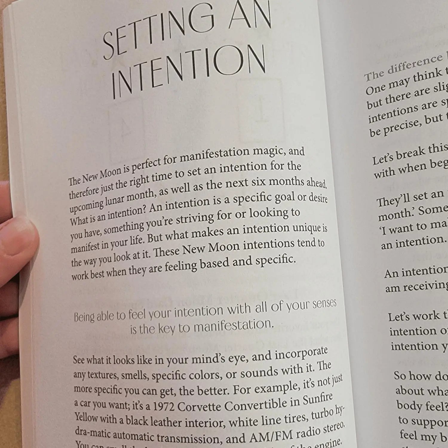 New Moon Intention Setting Journal Bella deLuna Journal