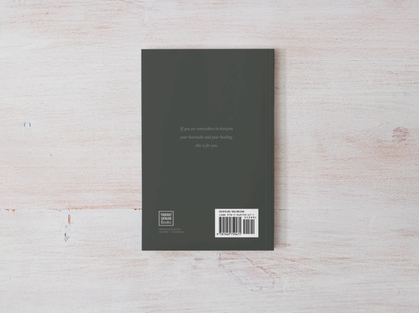 Somewhere In Between - book Thought Catalog