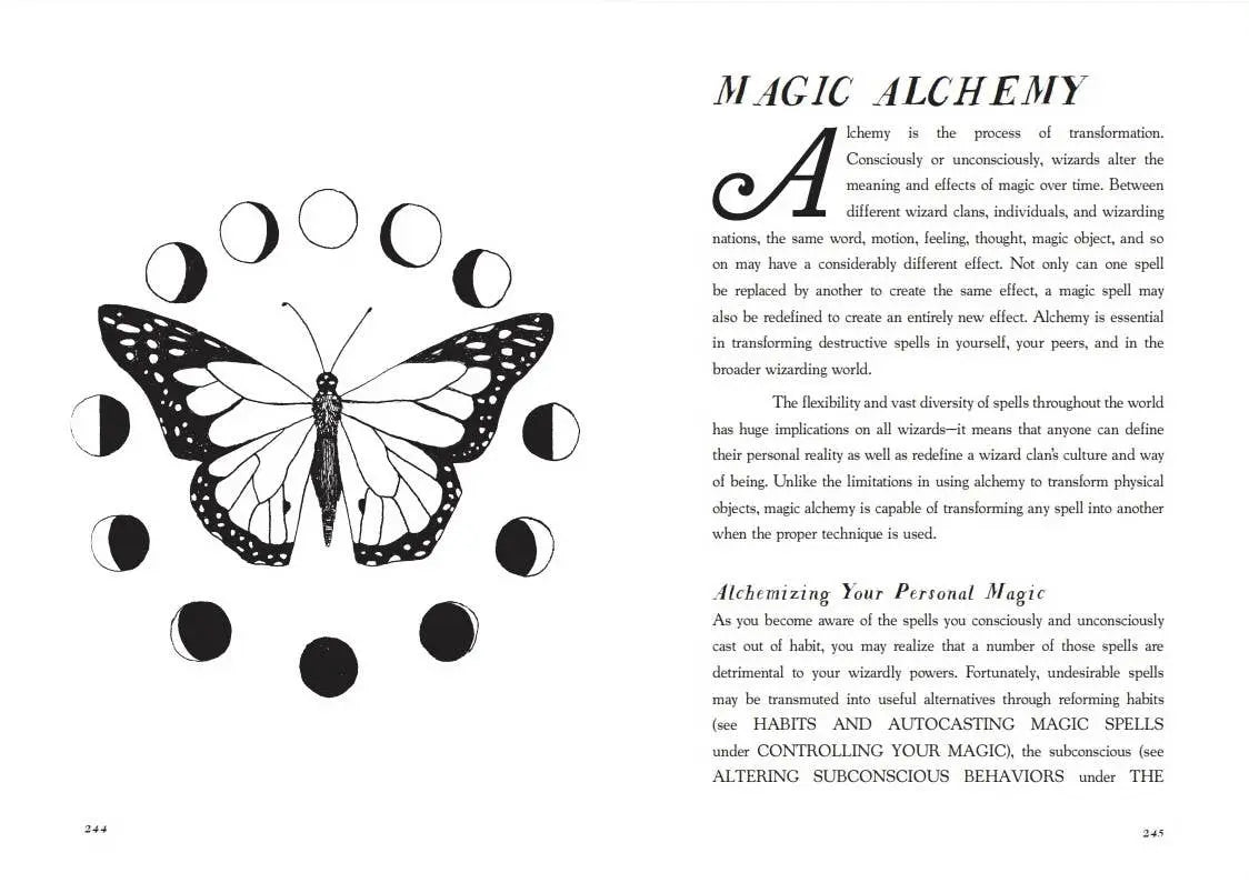 You Are a Great and Powerful Wizard: Self-Care Magic Microcosm Publishing & Distribution