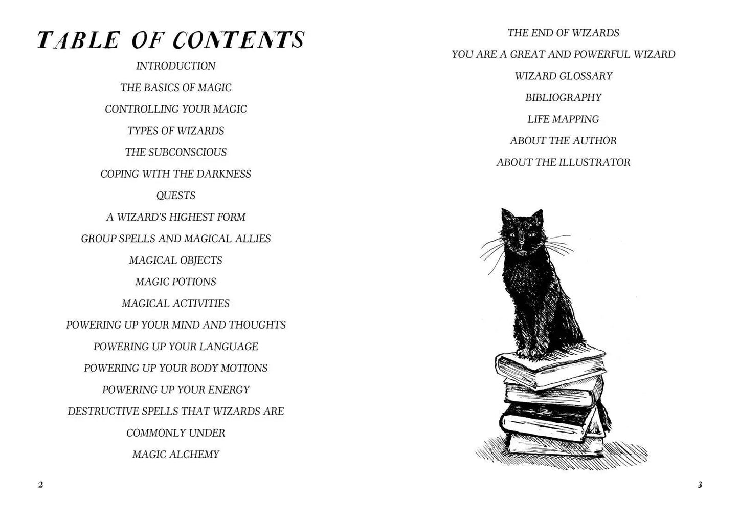 You Are a Great and Powerful Wizard: Self-Care Magic Microcosm Publishing & Distribution