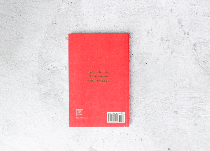 Little By Little - book Thought Catalog