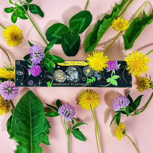 Abundance Moon Phase Planting Set-Plantable Seed Balls-Gift For Plant Lover Sow the Magic
