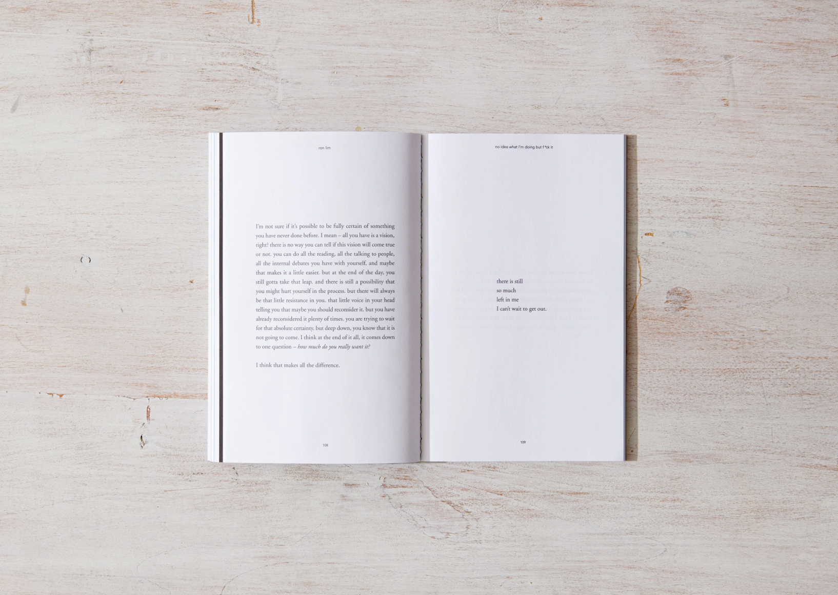 No Idea What I'm Doing But F*ck It - book Thought Catalog