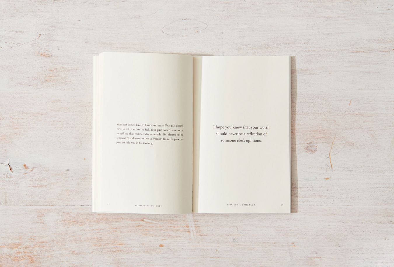 Stay Until Tomorrow - book Thought Catalog