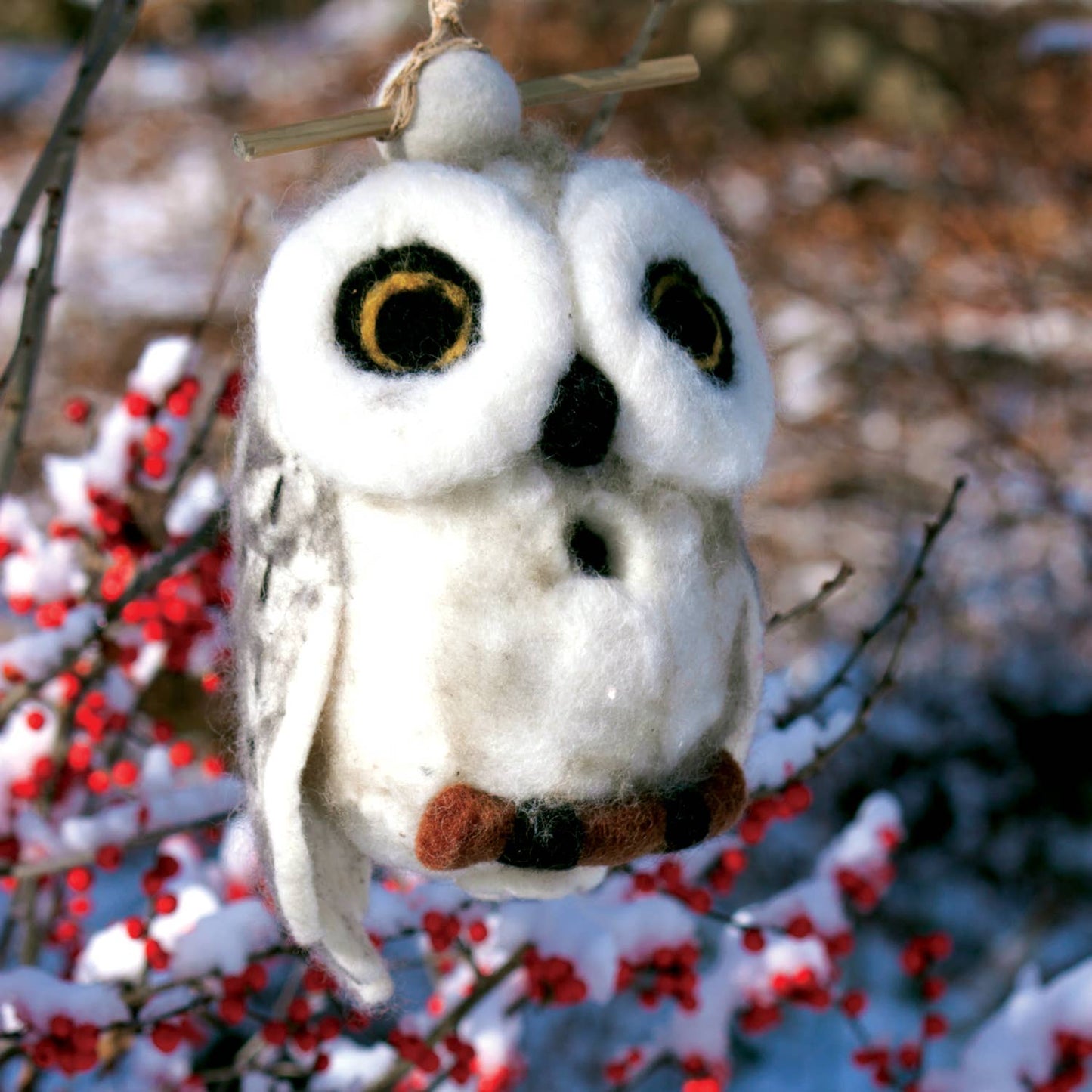 Snowy Owl Birdhouse dZi Handmade