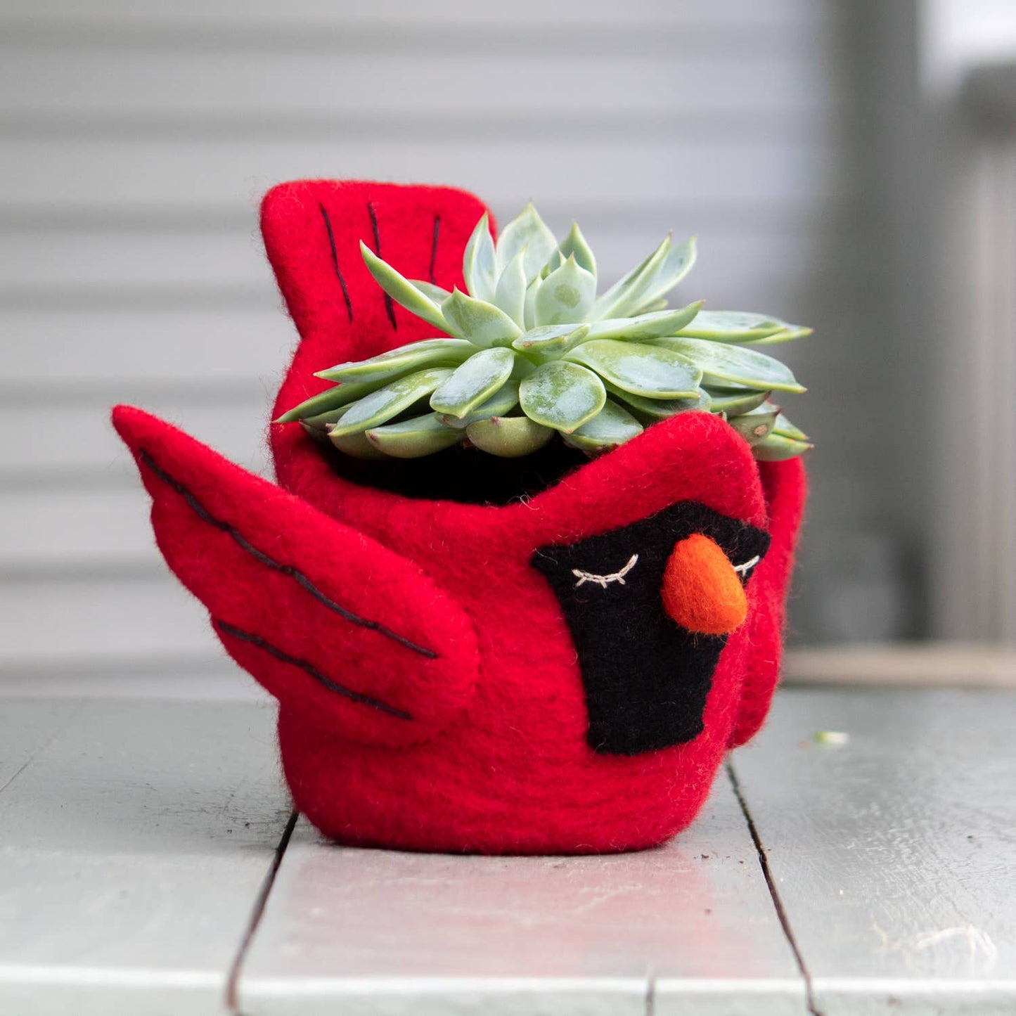 Cardinal Felt Plant Pot dZi Handmade