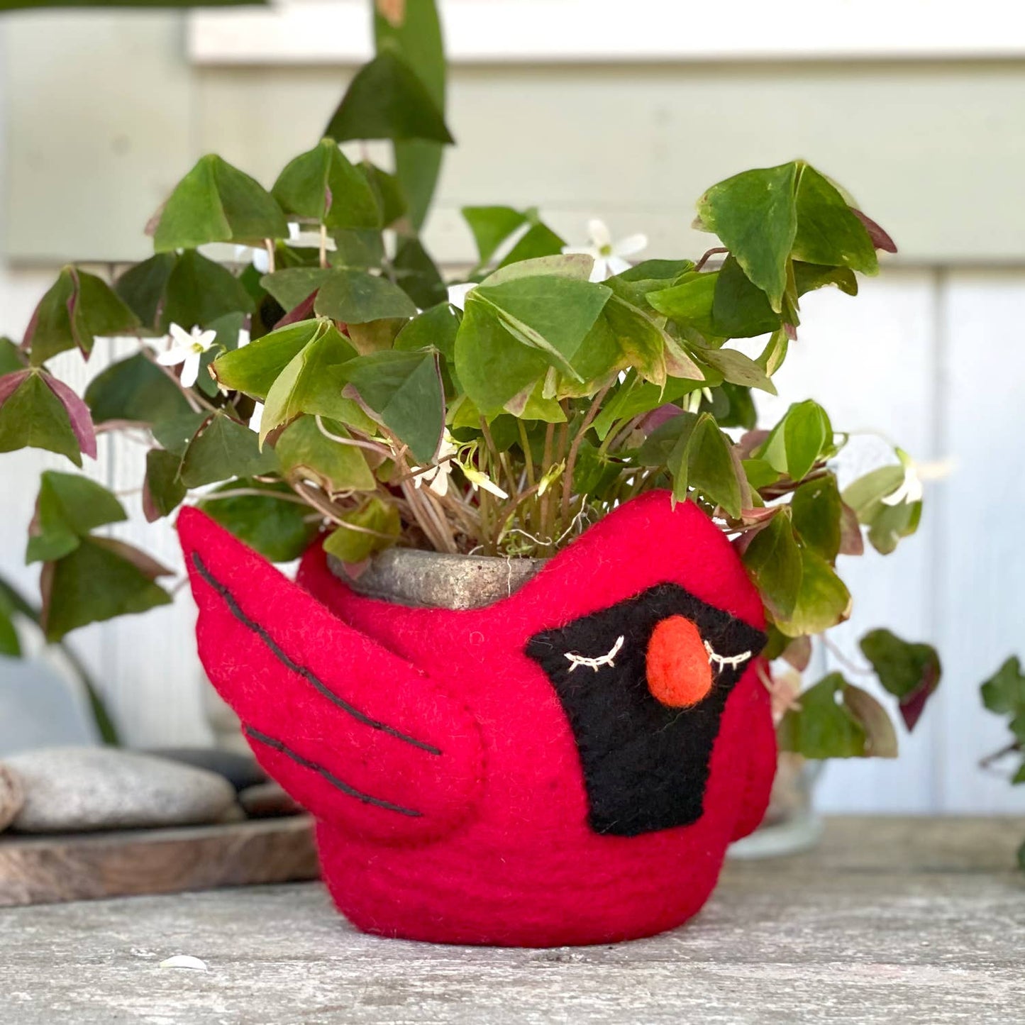 Red Cardinal Felt Plant Pot dZi Handmade