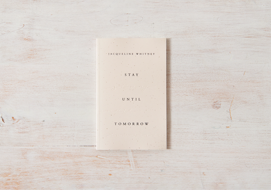 Stay Until Tomorrow - book Thought Catalog