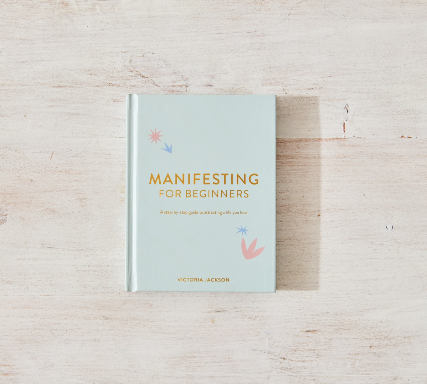 Manifesting For Beginners - book Thought Catalog